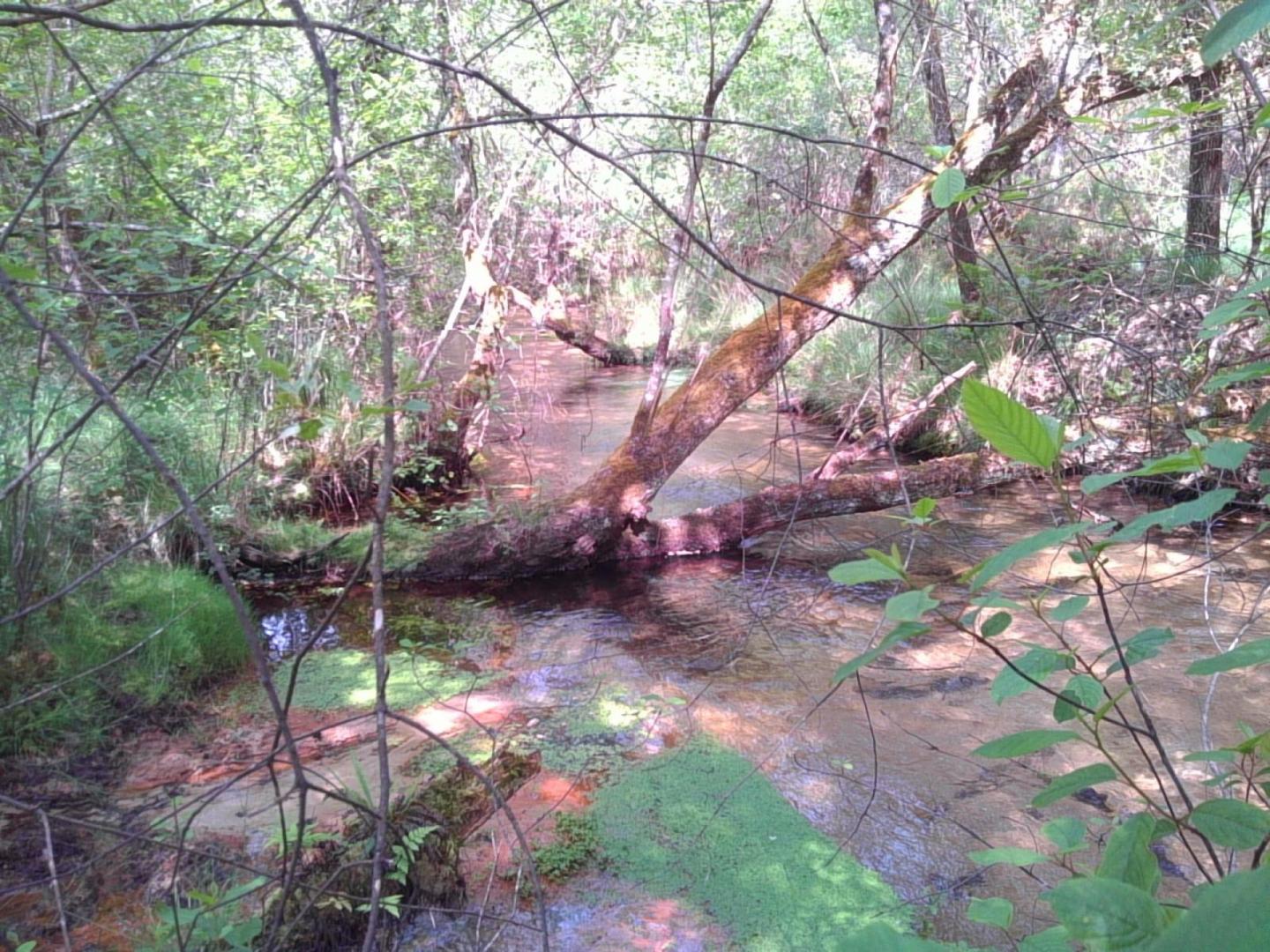 20150512_120923.jpg